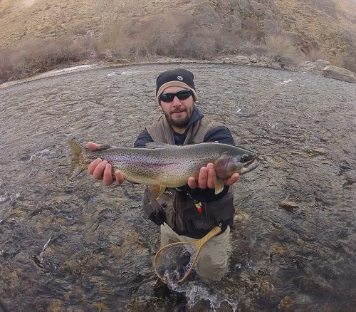 South Fork Of The Boise River Trout Lie